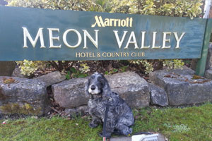 The Marriott Meon Valley